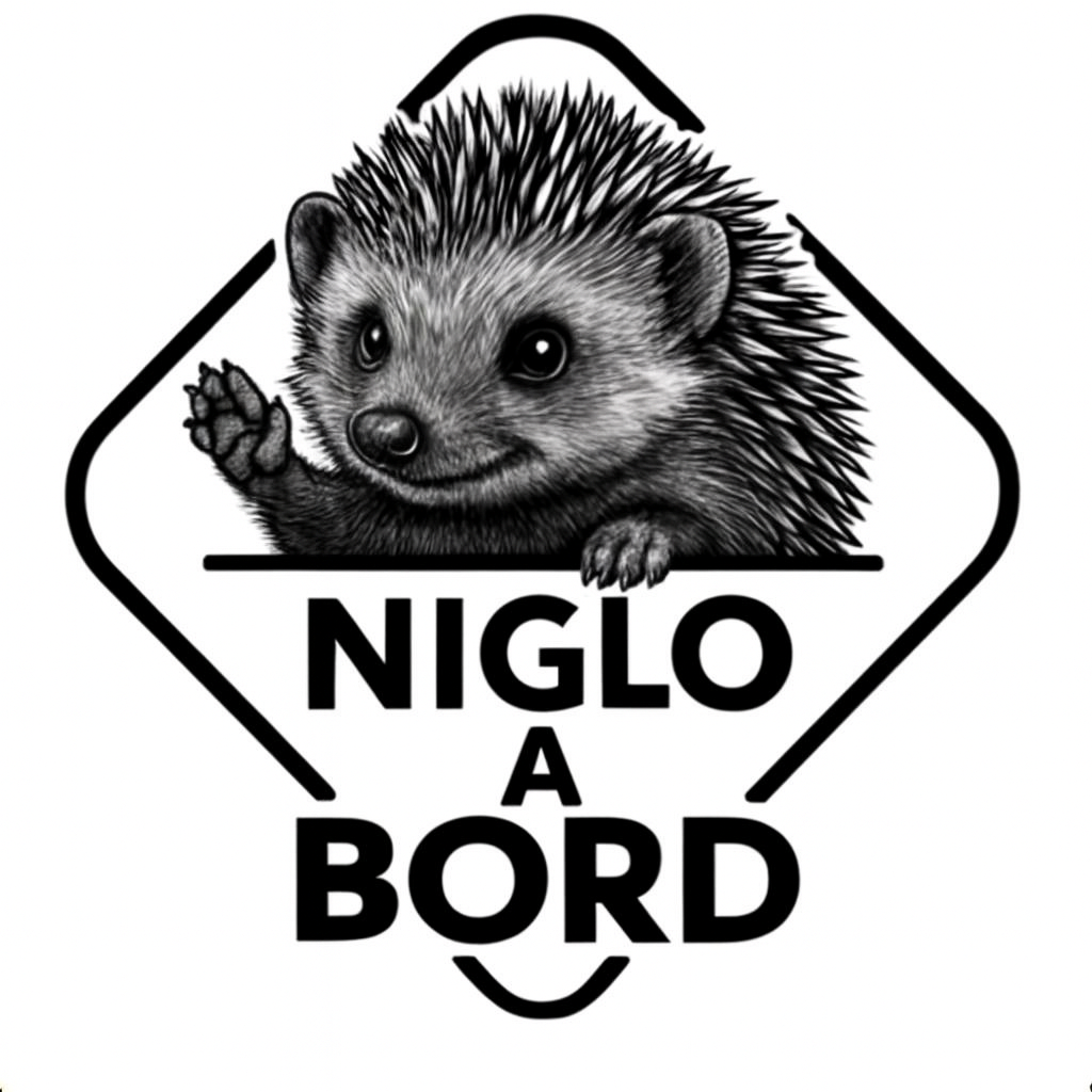 Niglo à Bord