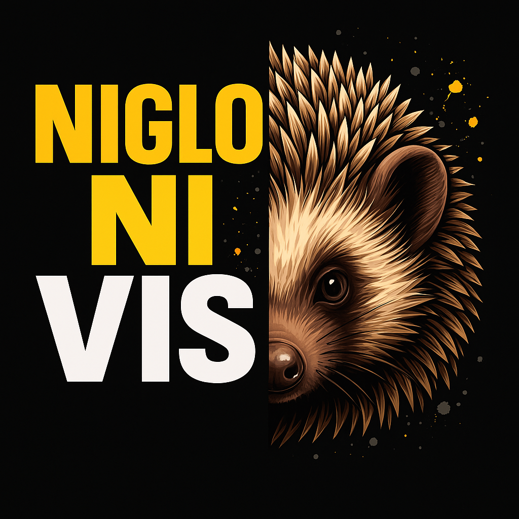 Logo Niglo Ni Vis